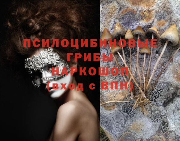 спайс Гусев