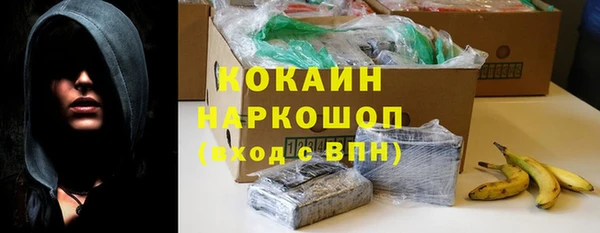 молекула духа Гусиноозёрск