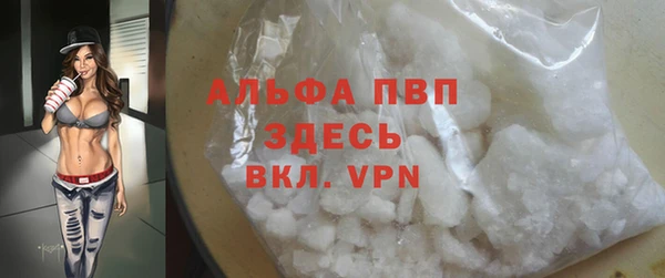 молекула духа Гусиноозёрск