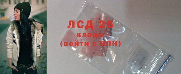 спайс Гусев