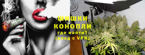 молекула духа Гусиноозёрск
