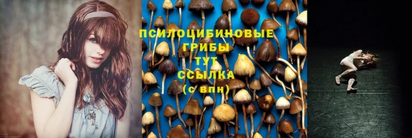 jwh Гусь-Хрустальный