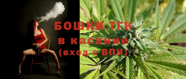 молекула духа Гусиноозёрск