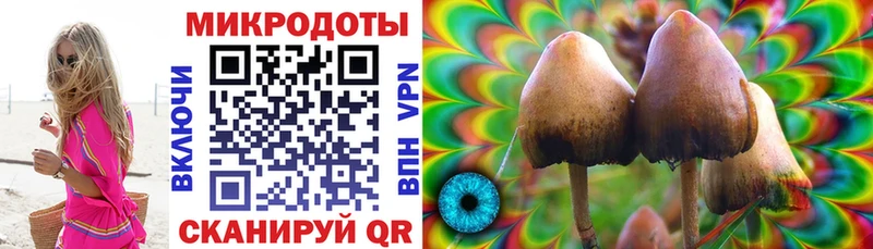 Галлюциногенные грибы GOLDEN TEACHER  Купить  Невинномысск 